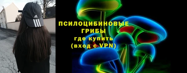 стафф Алексеевка