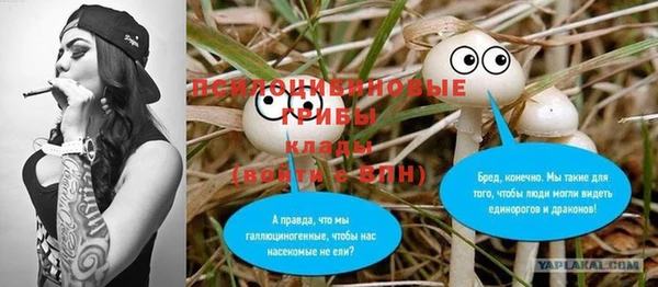 стафф Алексеевка