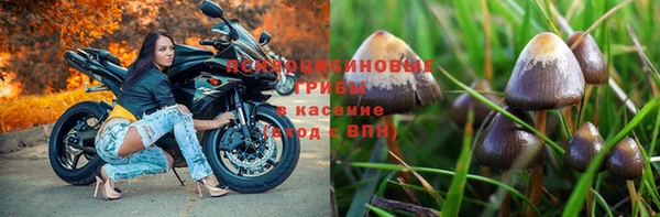 экстази Алексин