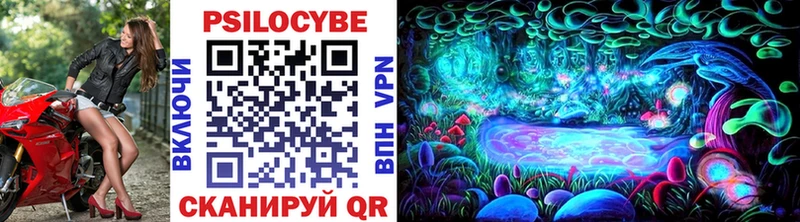 где купить Камызяк Галлюциногенные грибы мицелий
