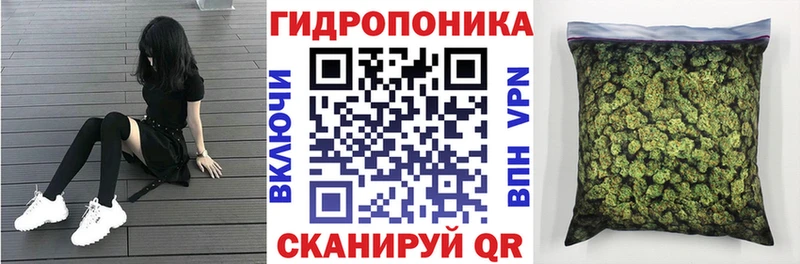 цена наркотик Камызяк сайты даркнета какой сайт Конопля сатива